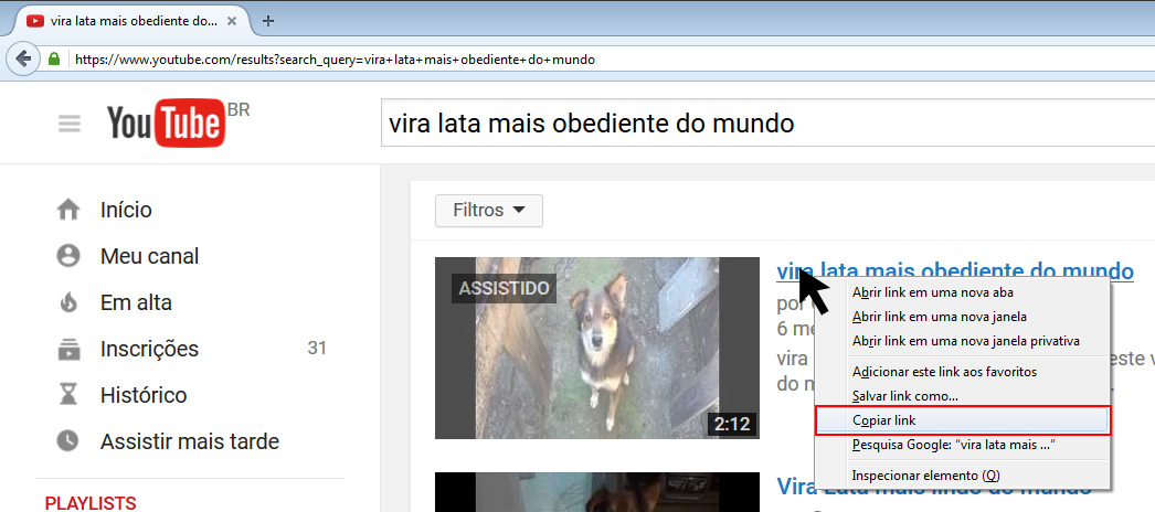 baixar vídeos no youtube